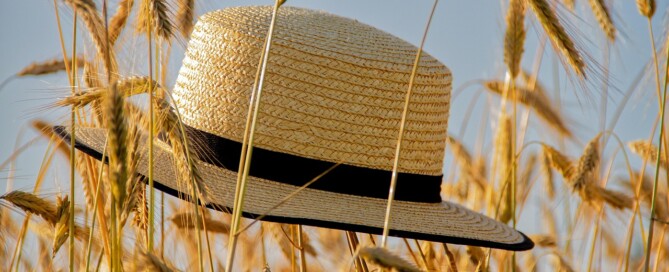 newsletter juillet aout cap emploi bearn